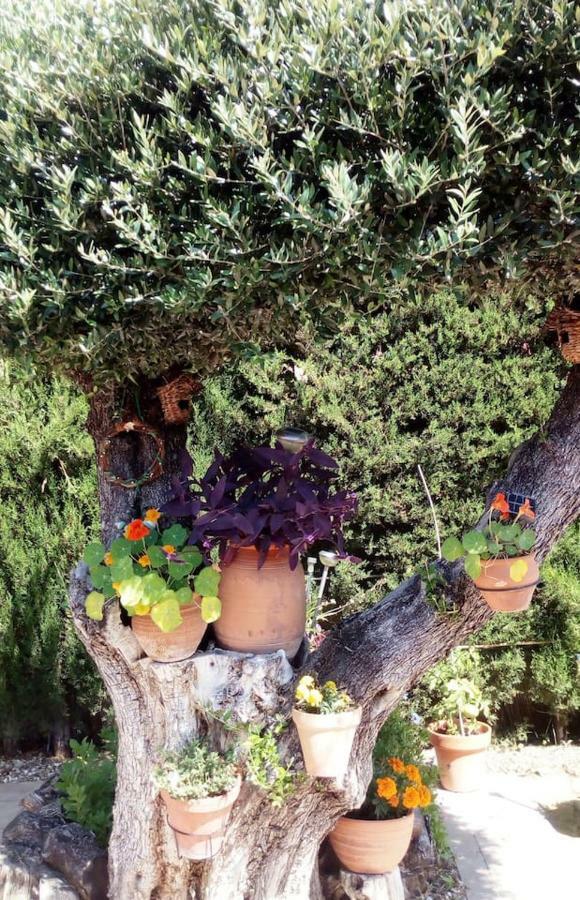 Bay Leaves Jaén Exterior foto
